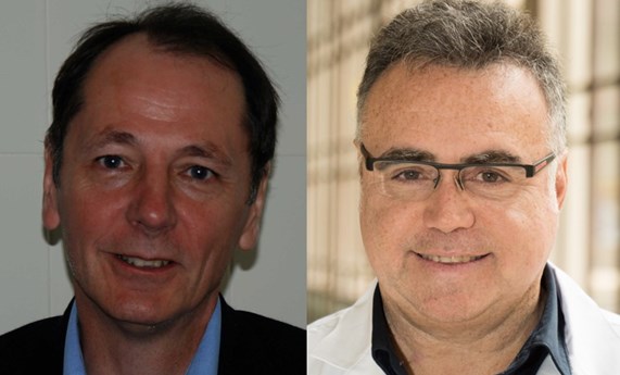 Determinan las diferencias estructurales a nivel cerebral en la población bipolar Determinan las diferencias estructurales a nivel cerebral en la población bipolar