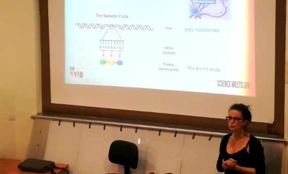 Investigadores y familiares de afectados colaboran en la creación de un registro sobre la encefalopatía epiléptica causada por mutaciones en KCNQ2 Investigadores y familiares de afectados colaboran en la creación de un registro sobre la encefalopatía epiléptica causada por mutaciones en KCNQ2