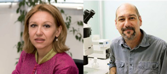 Investigadores del CIBERER participan en un proyecto de terapia génica para síndrome de Usher