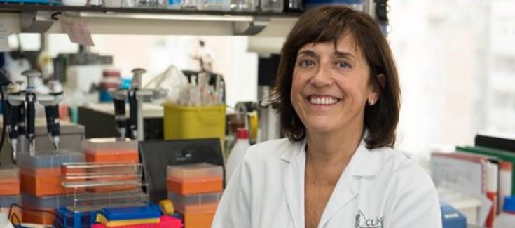 Encuentro del comité de la EASD con la UE sobre la implementación de las nuevas tecnologías en el control y tratamiento de la diabetes